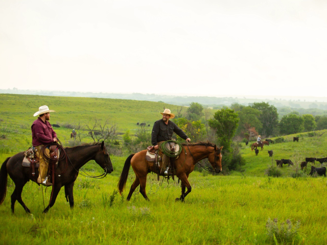 Sustainable Nutrition Meets Sustainability on the Farm: What Healthcare Professionals Need to Know